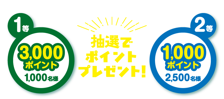 抽選でポイントプレゼント！ 1等 3,000ポイント 1,000名様／2等 1,000ポイント 2,500名様