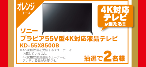 オレンジコース 4K対応テレビが当たる！！