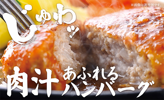 あぐー豚ハンバーグお試しセット