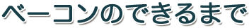 ベーコンのできるまで